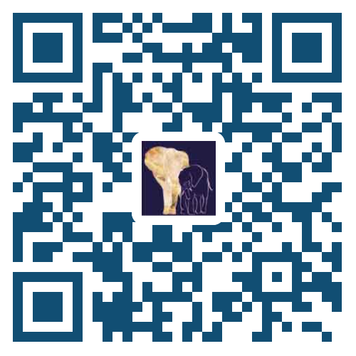 Código QR de la LinkCard de Joase-Ann